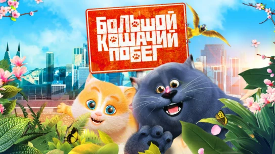 Большой кошачий побег