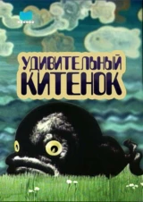 Удивительный китенок