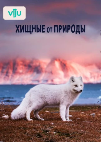 Хищные от природы