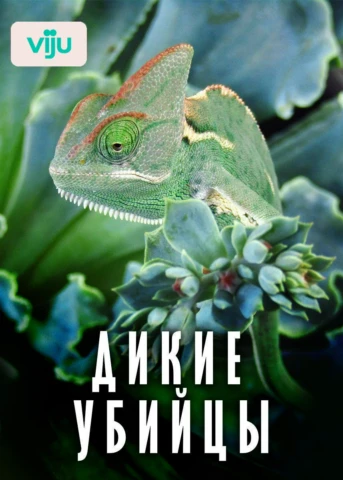 Яд