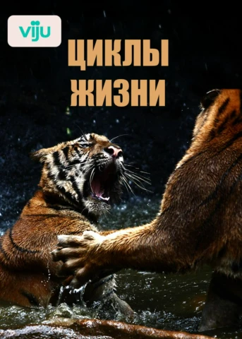 Серия 1