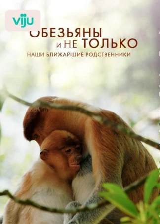 Обезьяны и не только: наши ближайшие родственники