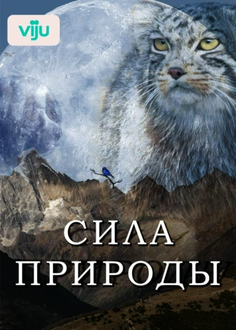 Между небом и землей