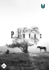 Parvoz