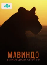 Мавиндо. Великая драма Серенгети