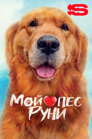 Мой пес Руни