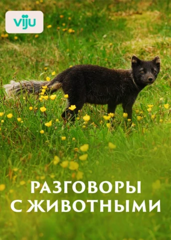 1 серия