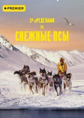 Снежные псы